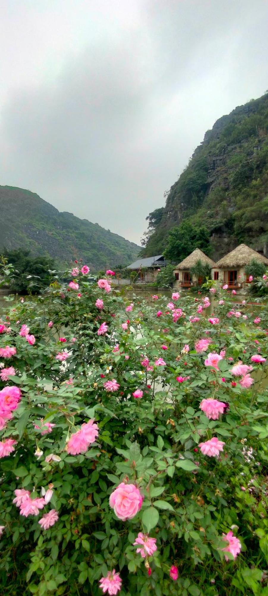 Hang Mua Eco Garden Xuan Son Buitenkant foto