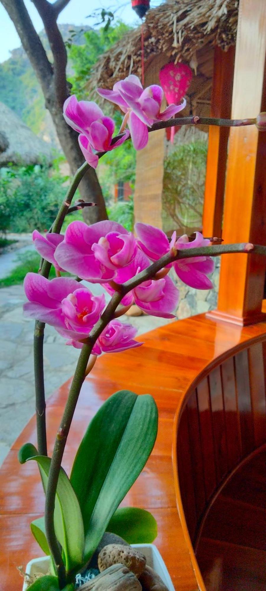 Hang Mua Eco Garden Xuan Son Buitenkant foto