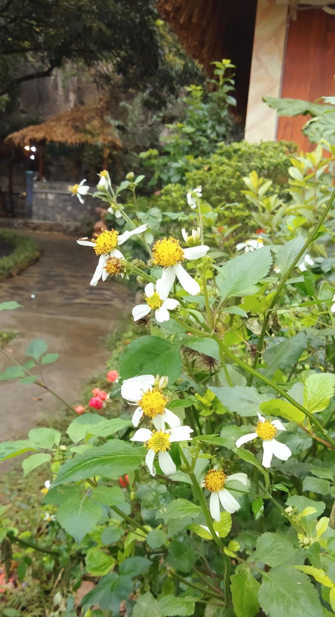 Hang Mua Eco Garden Xuan Son Buitenkant foto