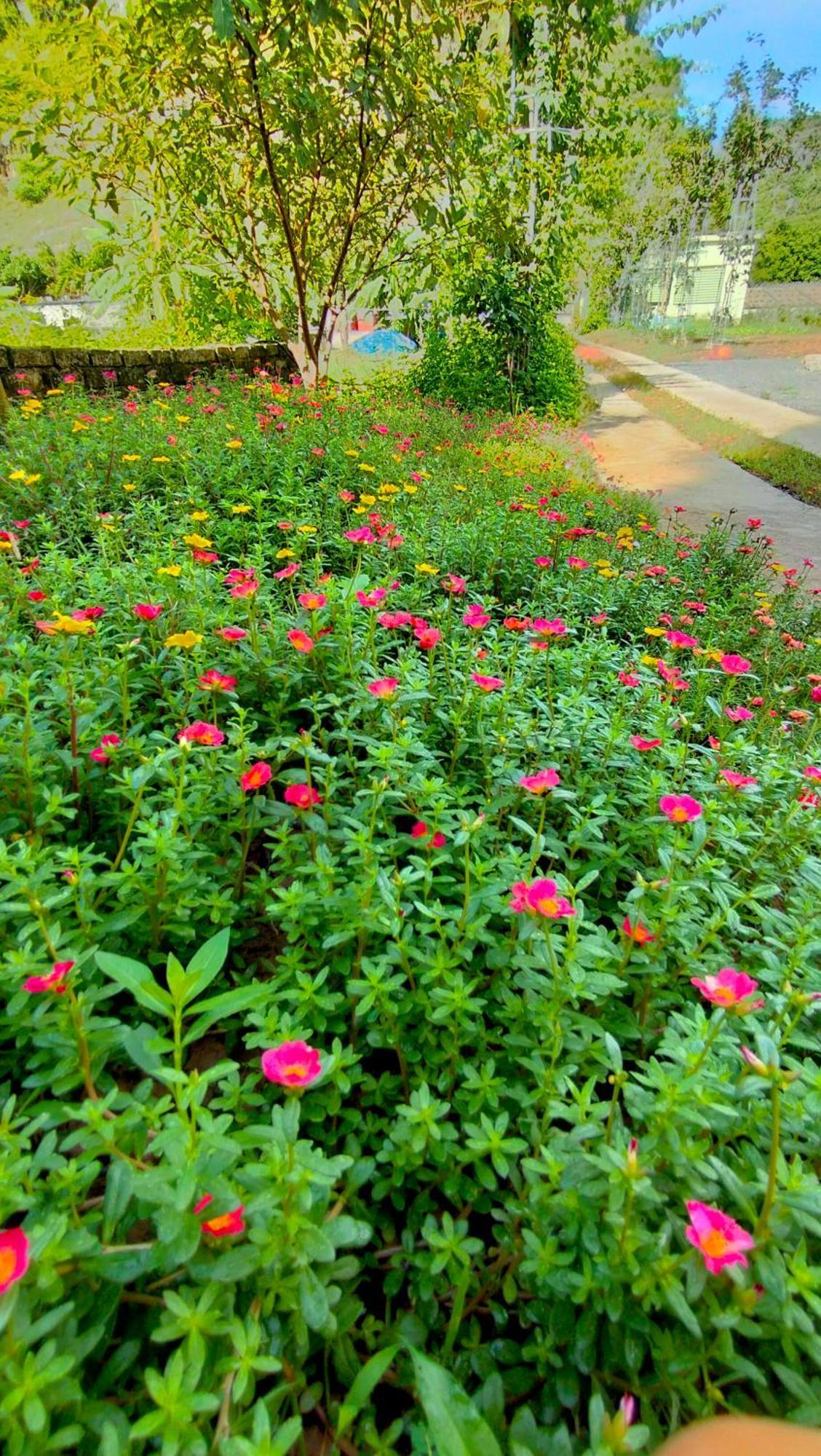 Hang Mua Eco Garden Xuan Son Buitenkant foto