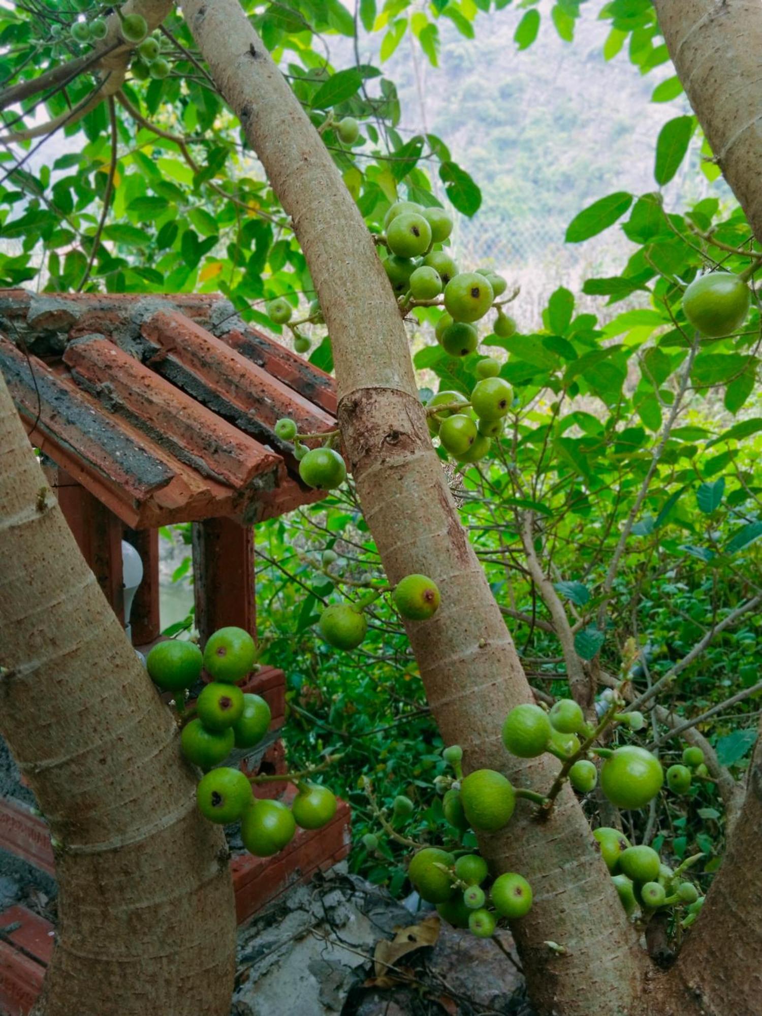 Hang Mua Eco Garden Xuan Son Buitenkant foto