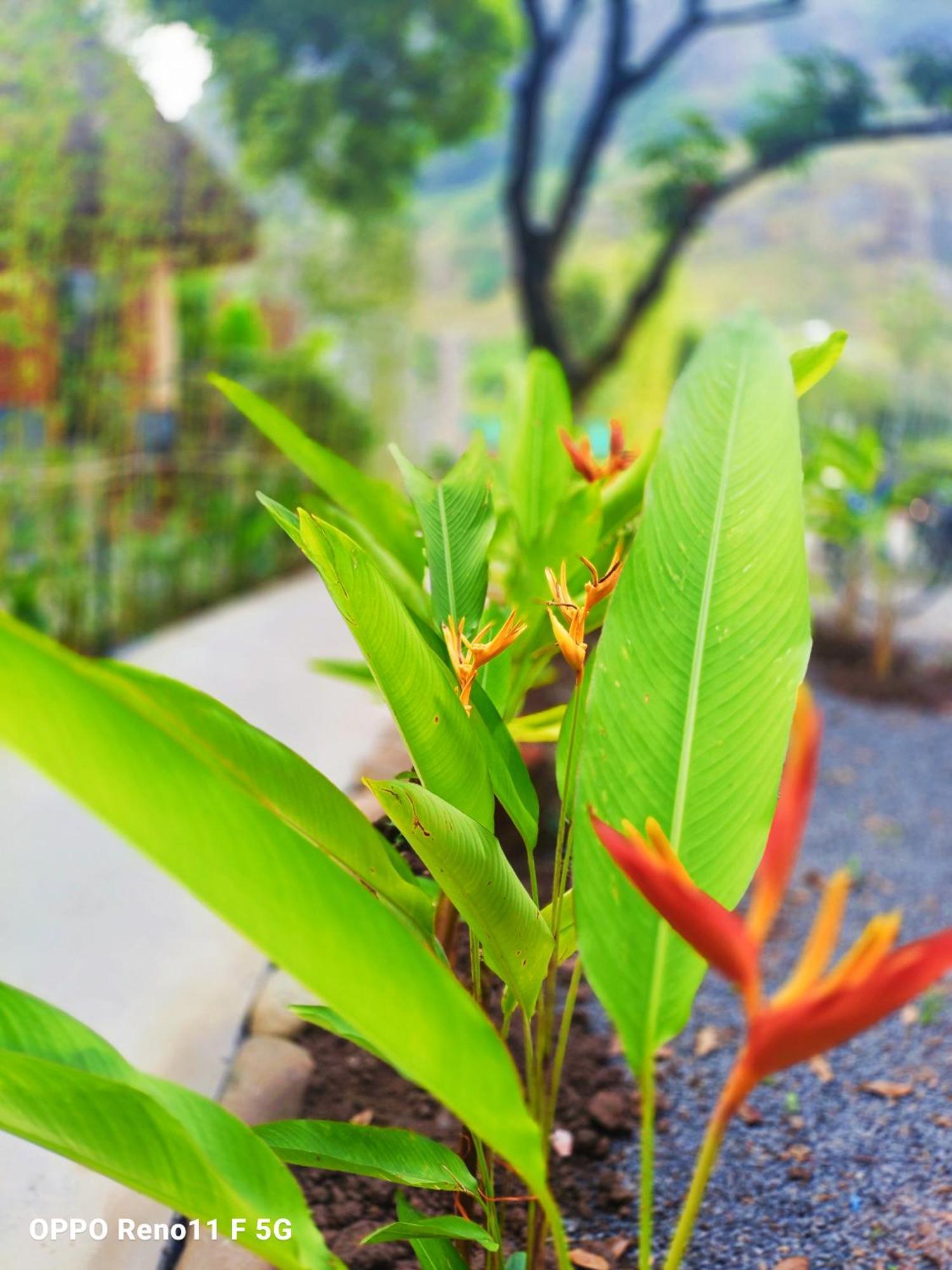 Hang Mua Eco Garden Xuan Son Buitenkant foto